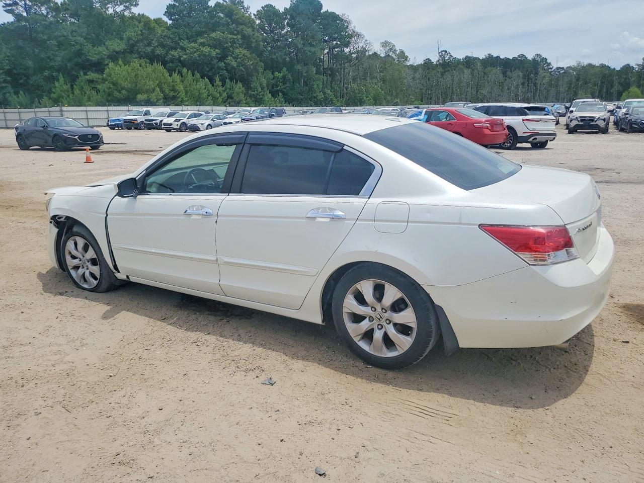 2010 Honda Accord Exl White vin: 1HGCP3F86AA026770