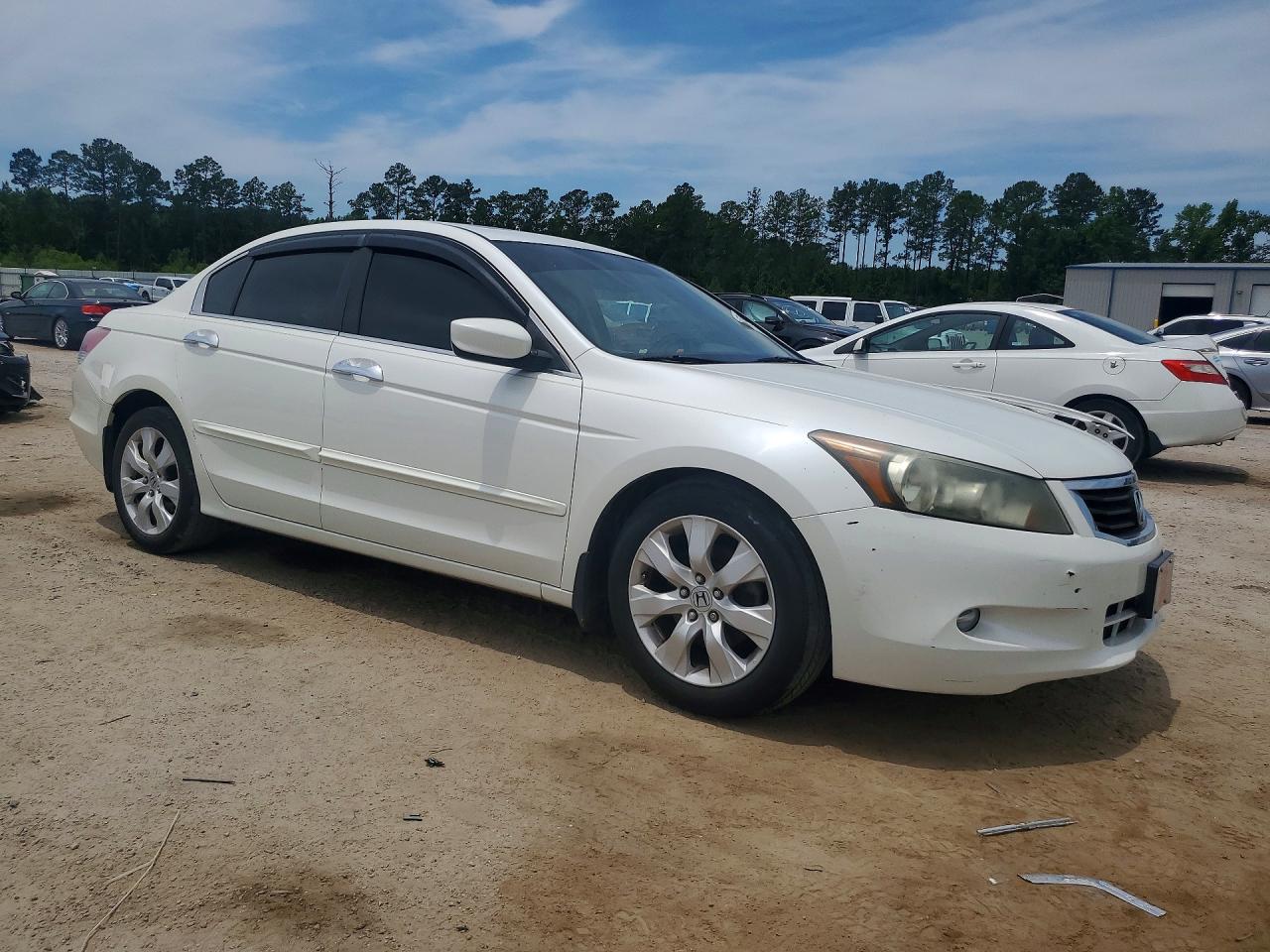 2010 Honda Accord Exl White vin: 1HGCP3F86AA026770