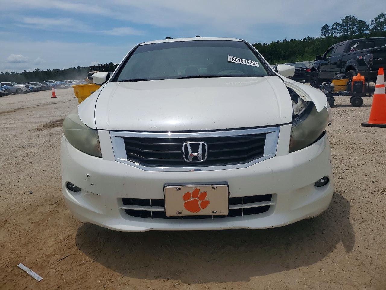 2010 Honda Accord Exl White vin: 1HGCP3F86AA026770