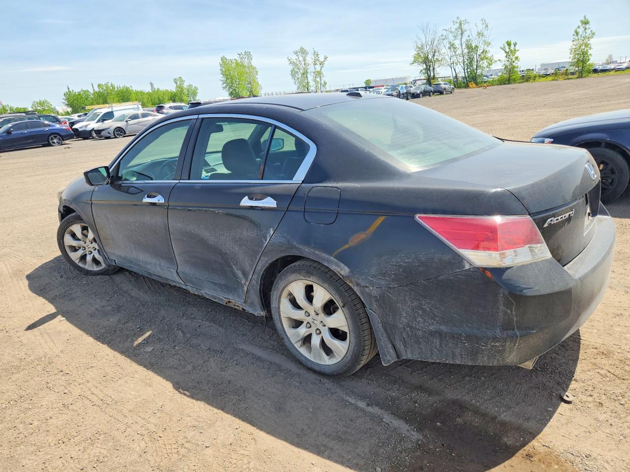 2010 Honda Accord Exl Black vin: 1HGCP3F86AA800287