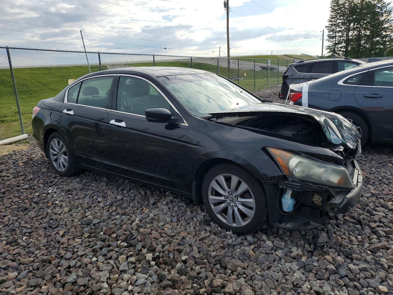 2011 Honda Accord Exl Black vin: 1HGCP3F86BA002602
