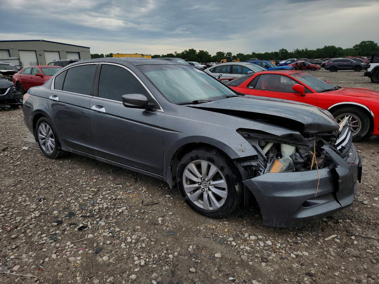 2011 Honda Accord Exl Gray vin: 1HGCP3F86BA009968