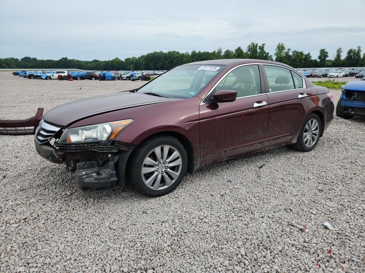 2011 Honda Accord Exl Burgundy vin: 1HGCP3F86BA027726
