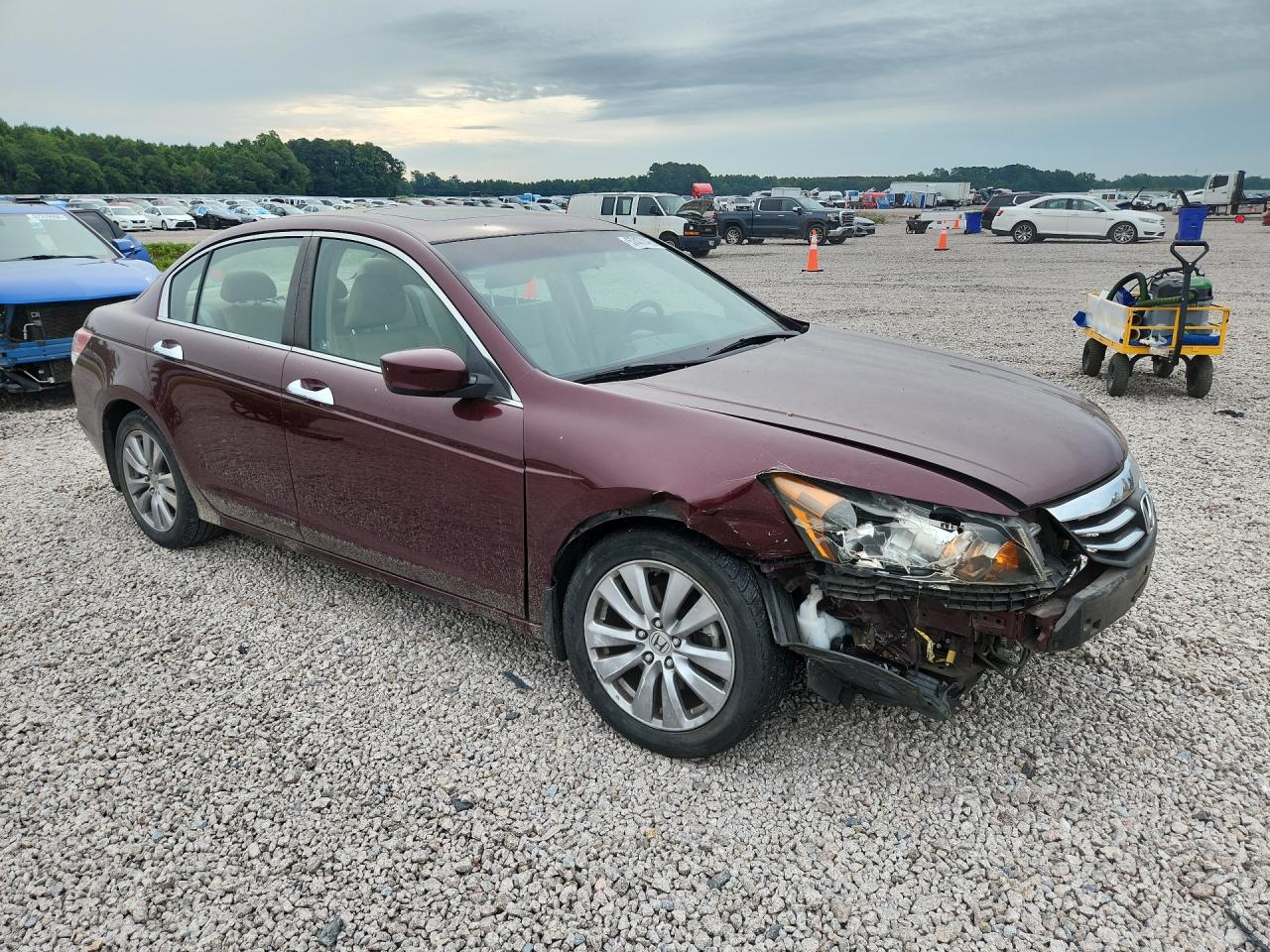 2011 Honda Accord Exl Burgundy vin: 1HGCP3F86BA027726