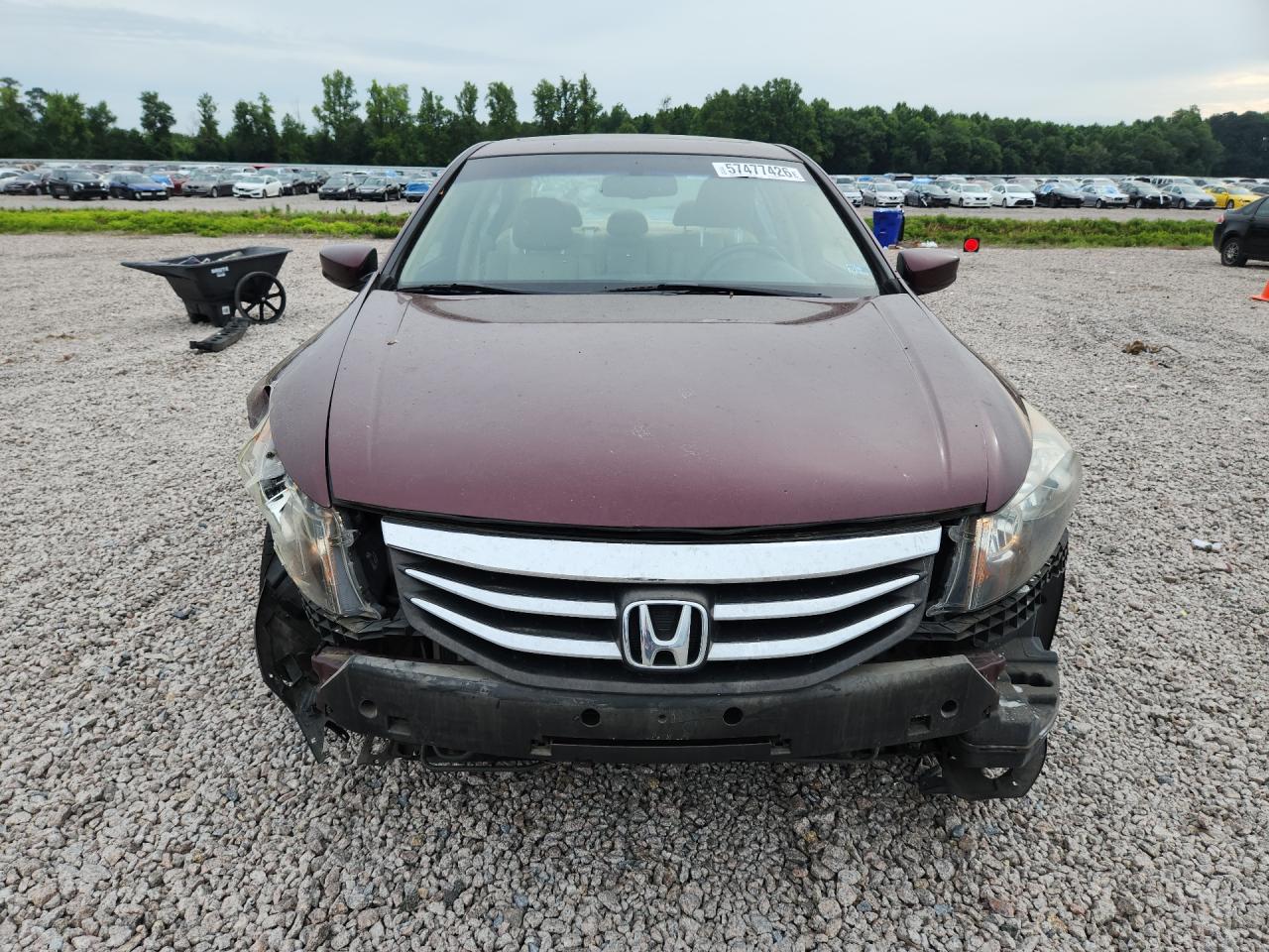 2011 Honda Accord Exl Burgundy vin: 1HGCP3F86BA027726