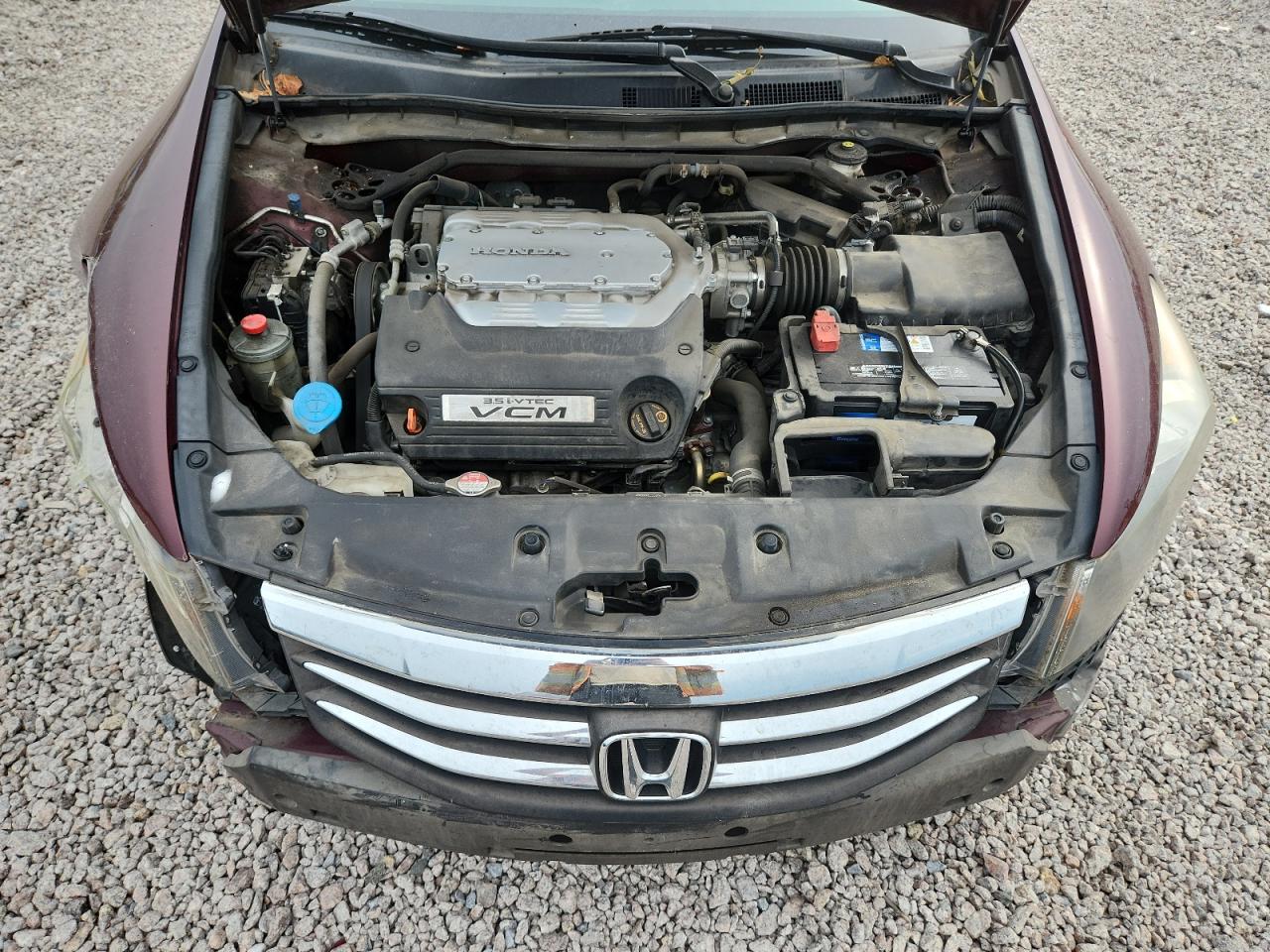 2011 Honda Accord Exl Burgundy vin: 1HGCP3F86BA027726