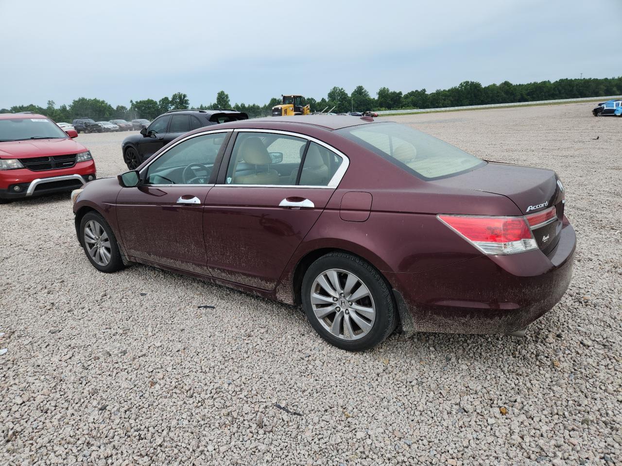2011 Honda Accord Exl Burgundy vin: 1HGCP3F86BA027726