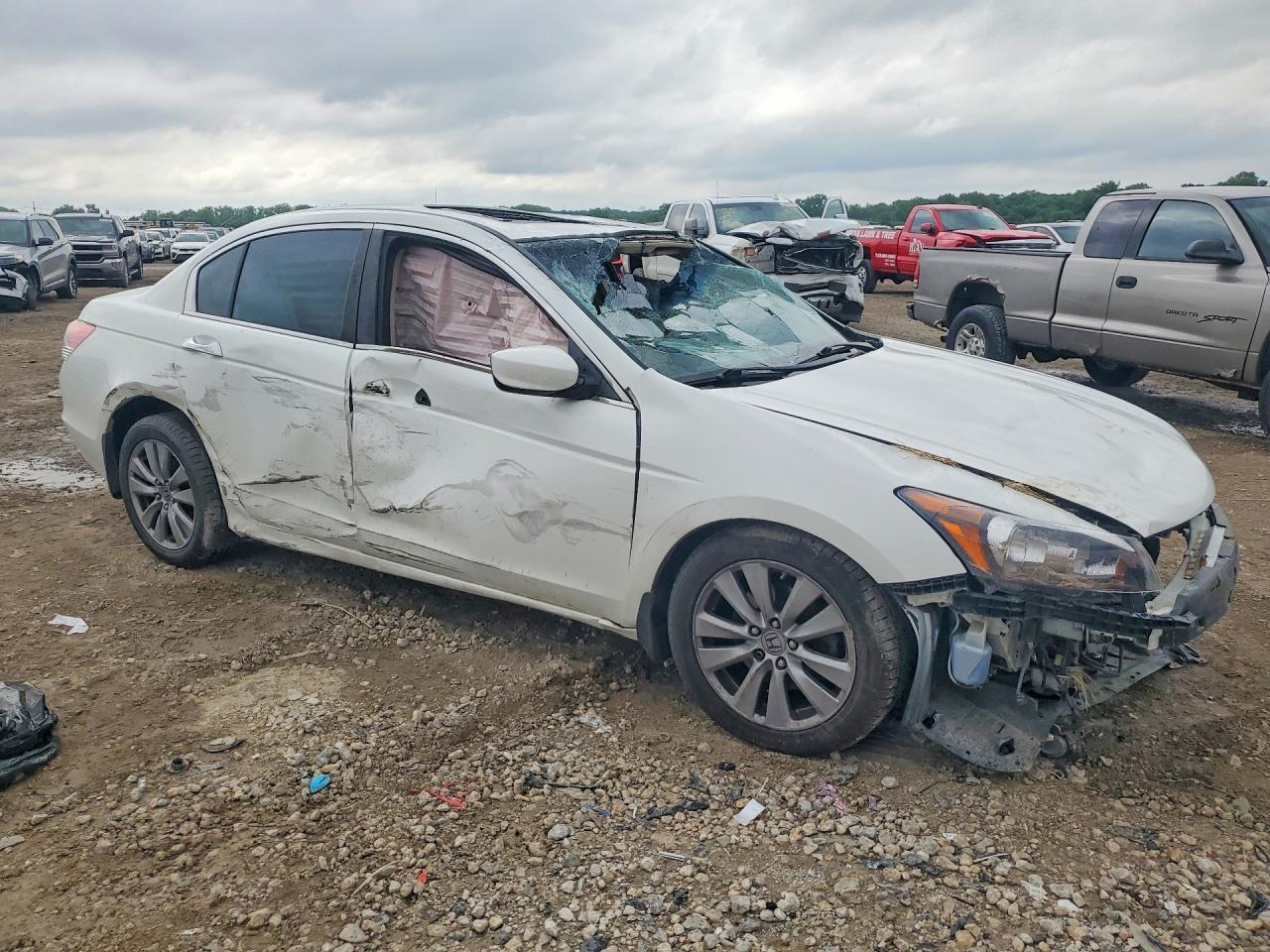 2012 Honda Accord Exl White vin: 1HGCP3F86CA010944