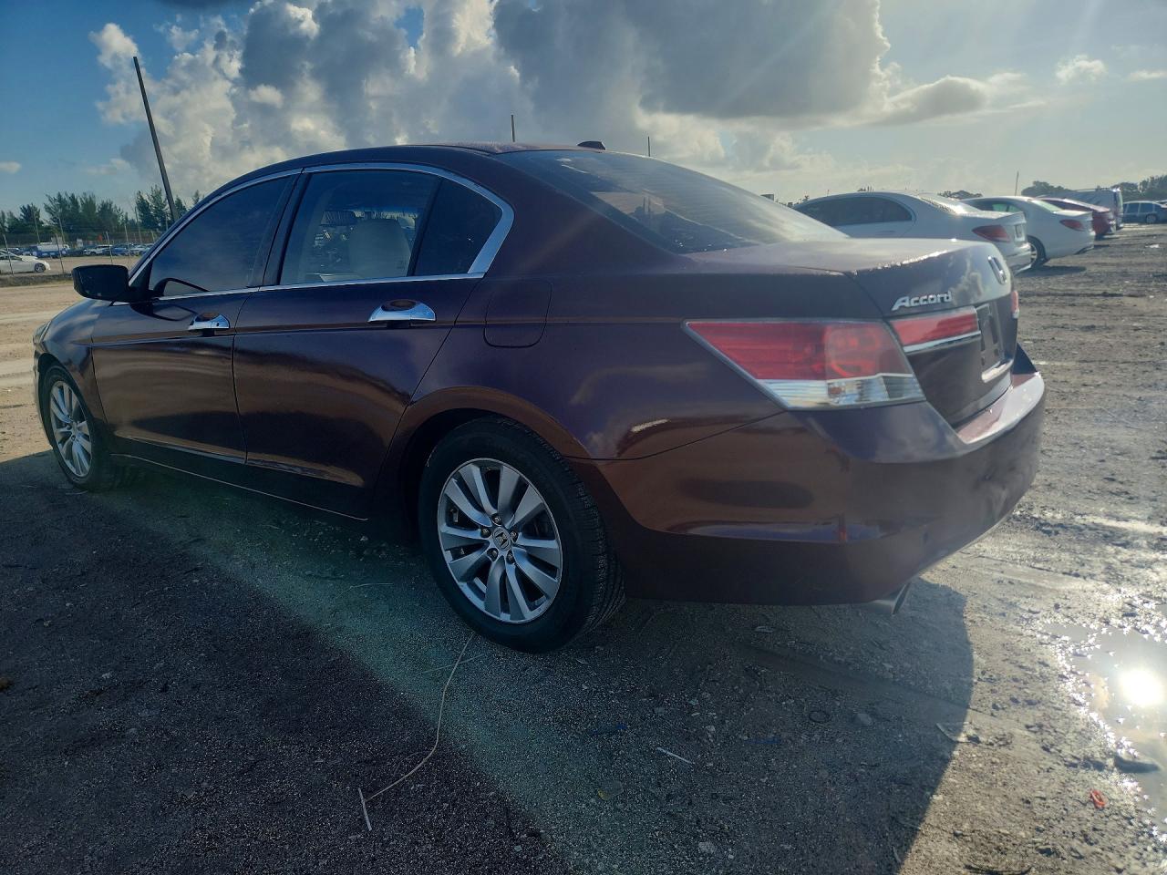 2012 Honda Accord Exl Бордовый vin: 1HGCP3F86CA023838