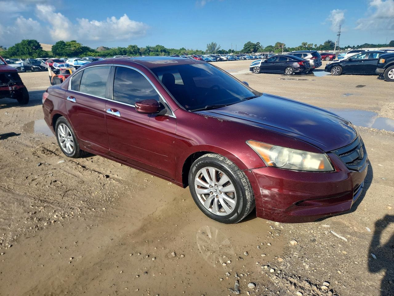 2012 Honda Accord Exl Бордовый vin: 1HGCP3F86CA023838
