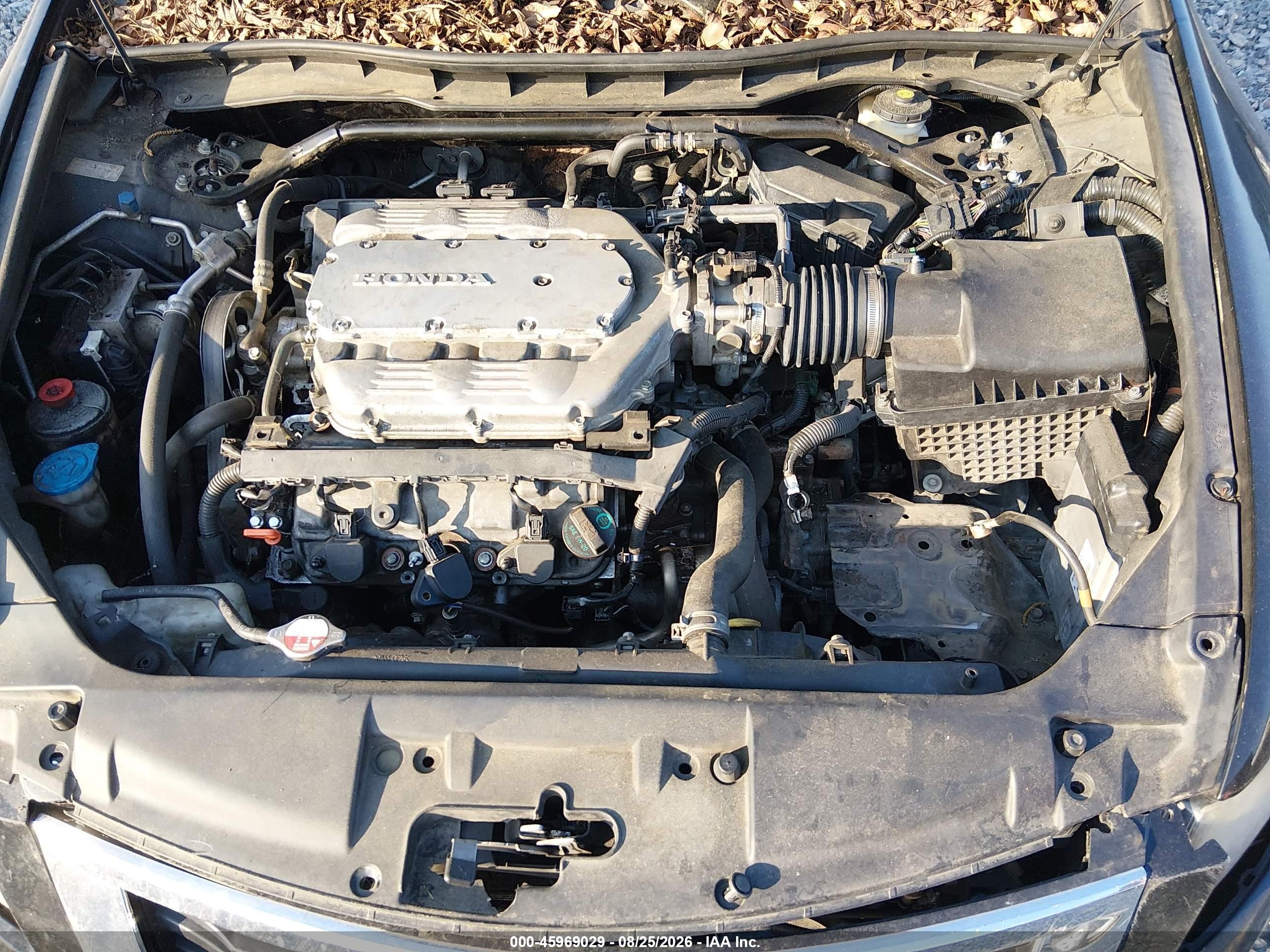2010 Honda Accord 3.5 Ex-l Beige vin: 1HGCP3F87AA008097