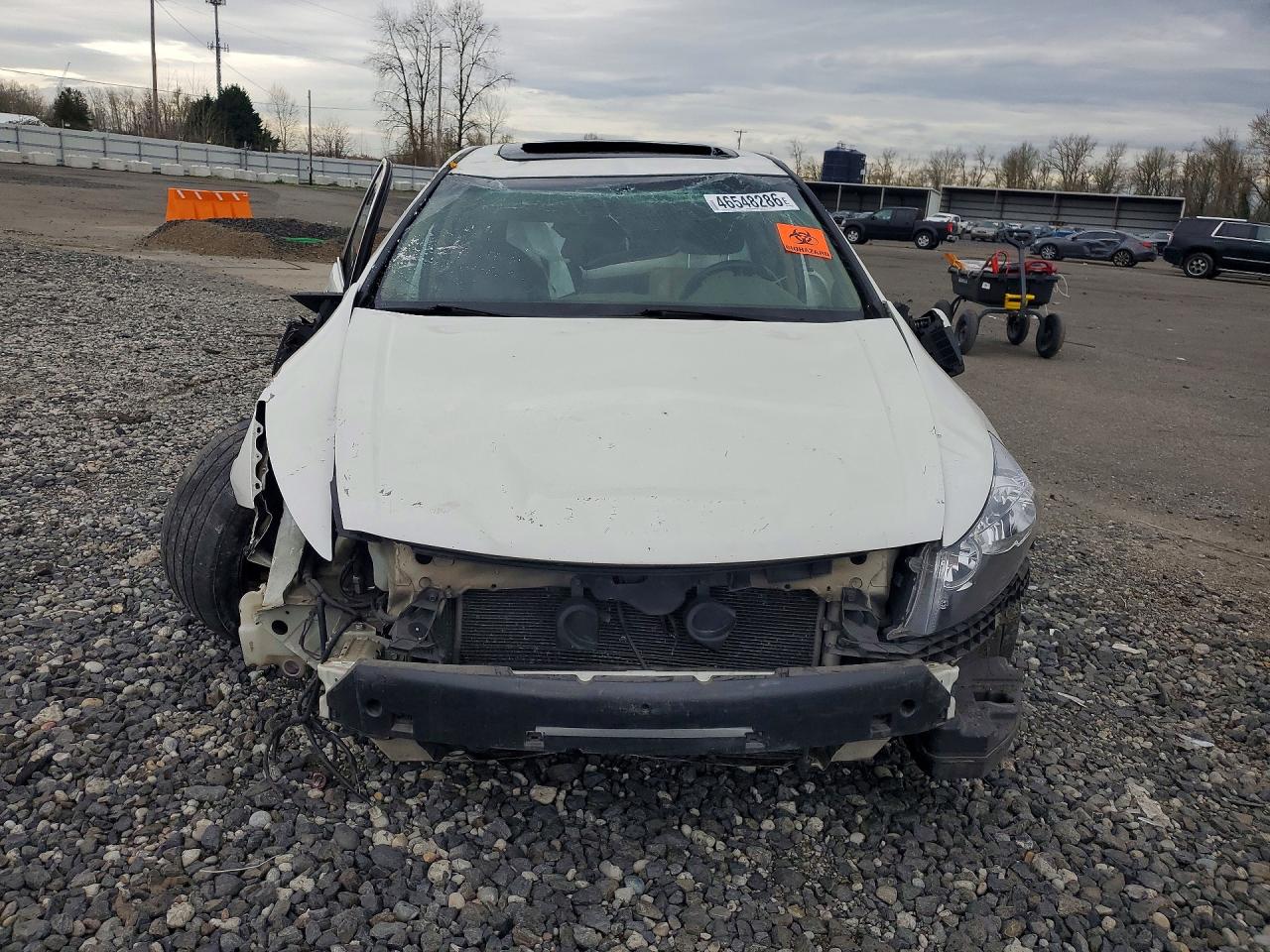 2010 Honda Accord Exl White vin: 1HGCP3F87AA017012