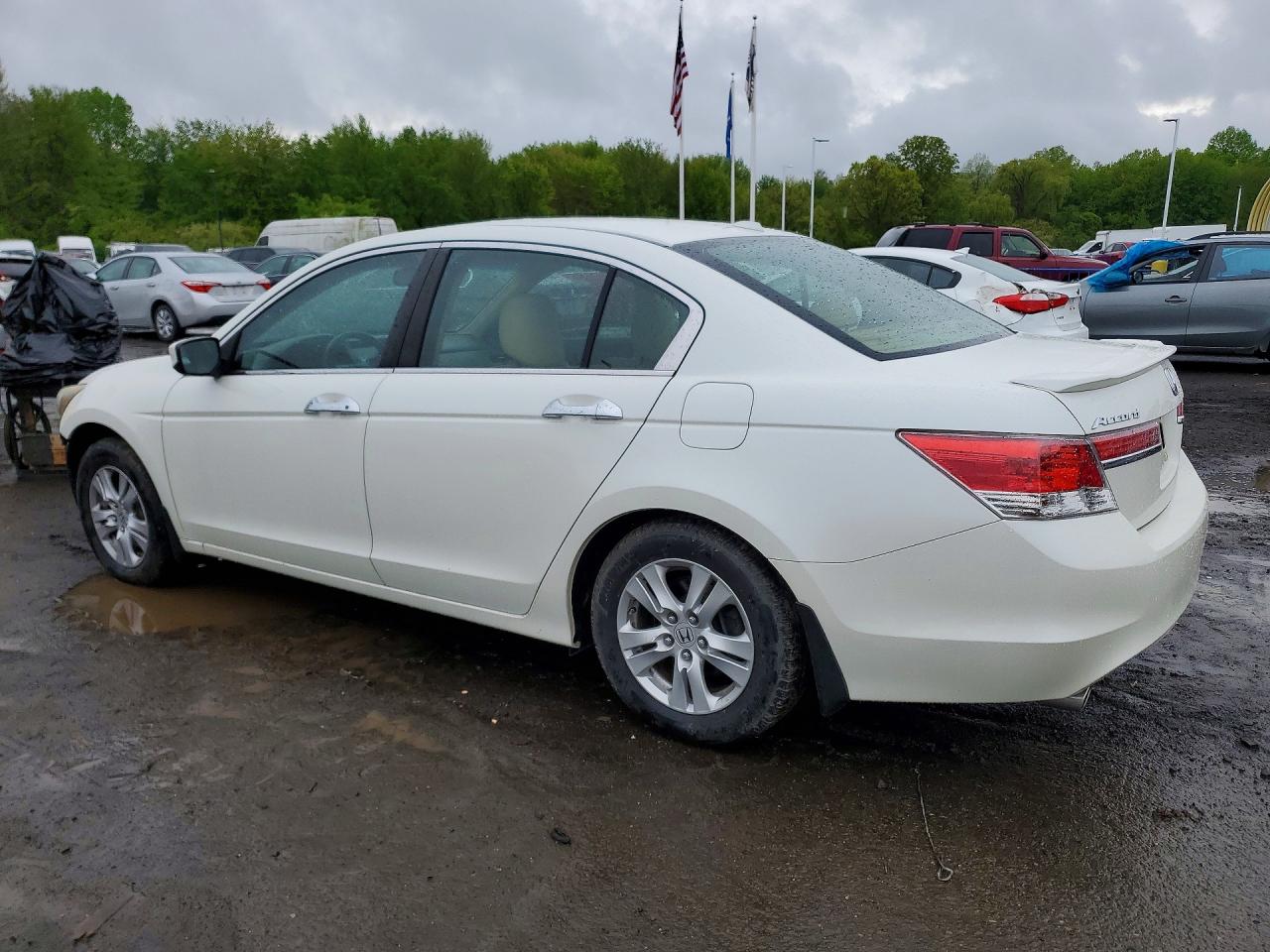2011 Honda Accord Exl White vin: 1HGCP3F87BA004861