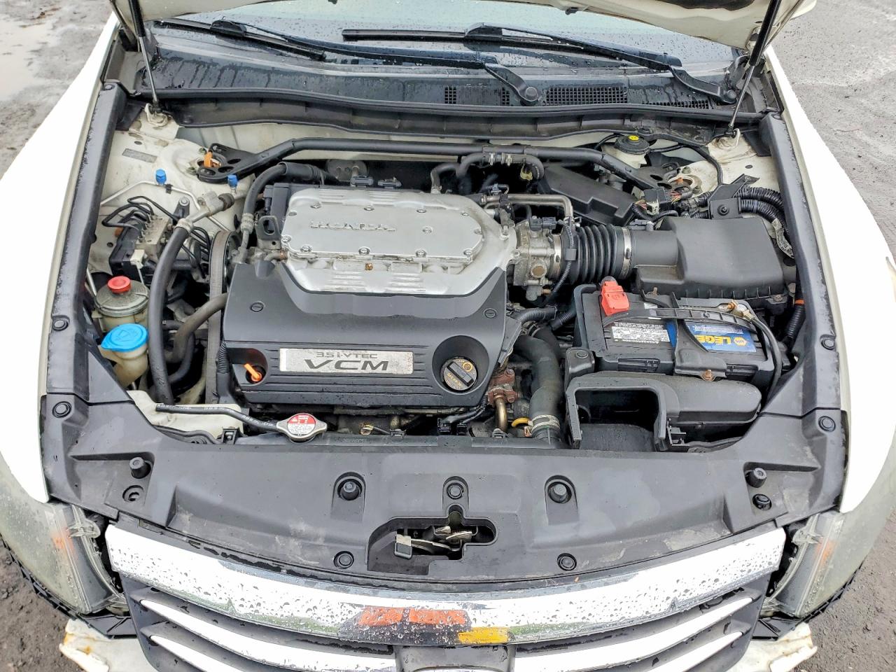 2011 Honda Accord Exl White vin: 1HGCP3F87BA004861