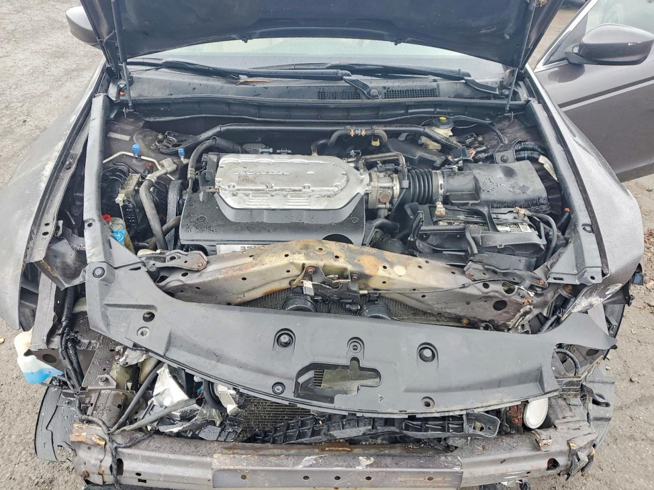 2011 Honda Accord Exl Charcoal vin: 1HGCP3F87BA005153