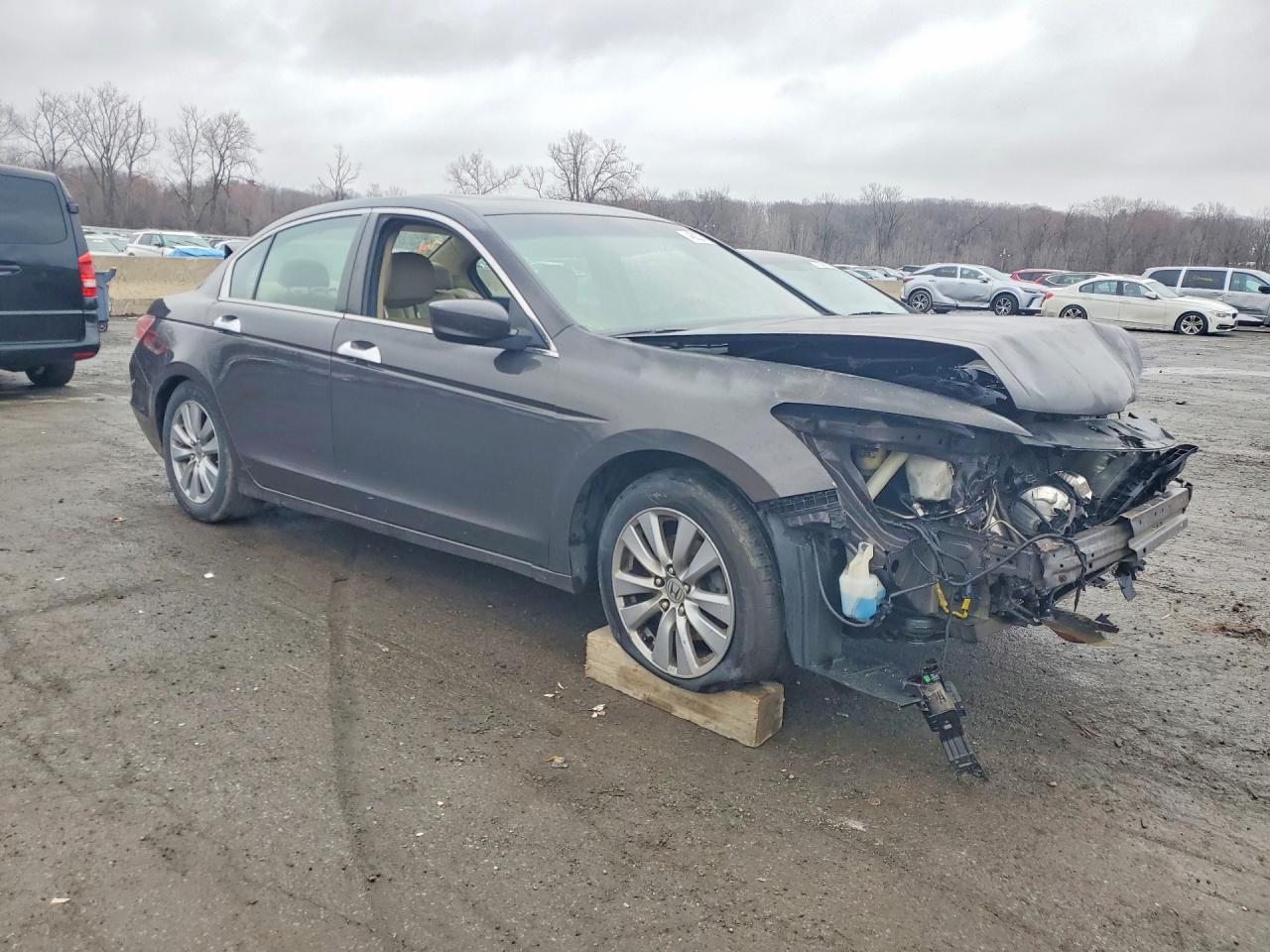 2011 Honda Accord Exl Charcoal vin: 1HGCP3F87BA005153