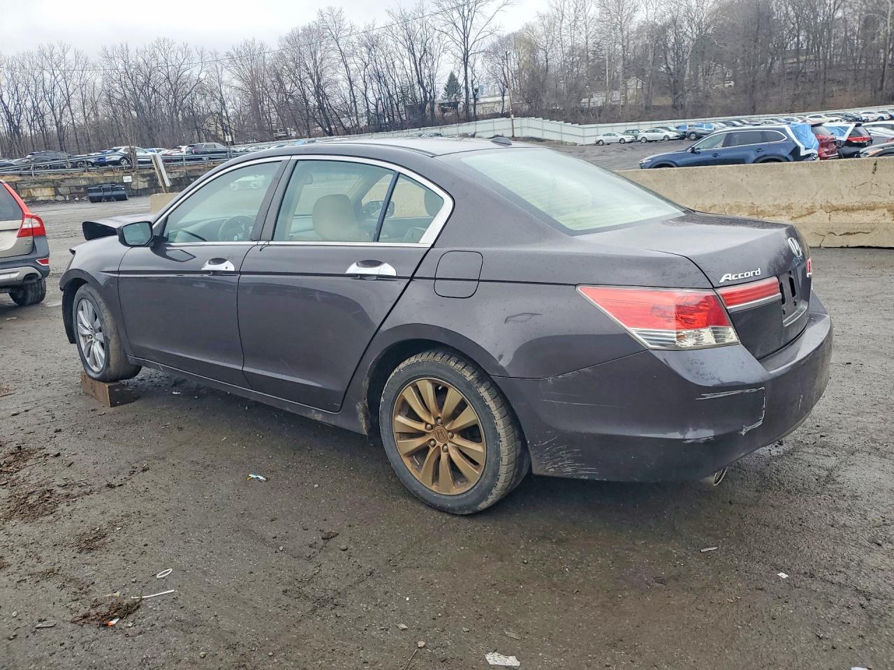 2011 Honda Accord Exl Charcoal vin: 1HGCP3F87BA005153