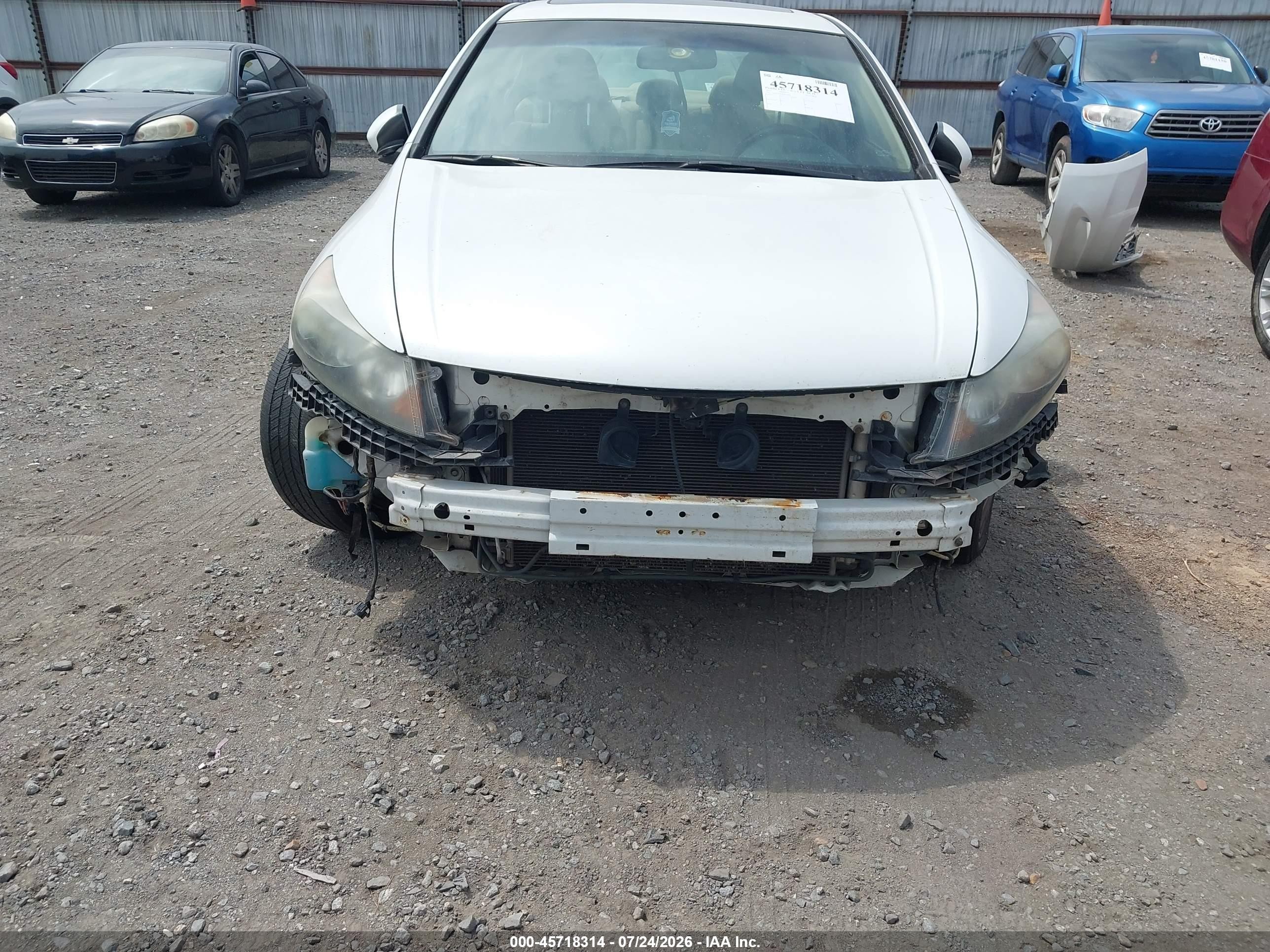 2011 Honda Accord 3.5 Ex-l White vin: 1HGCP3F87BA031607