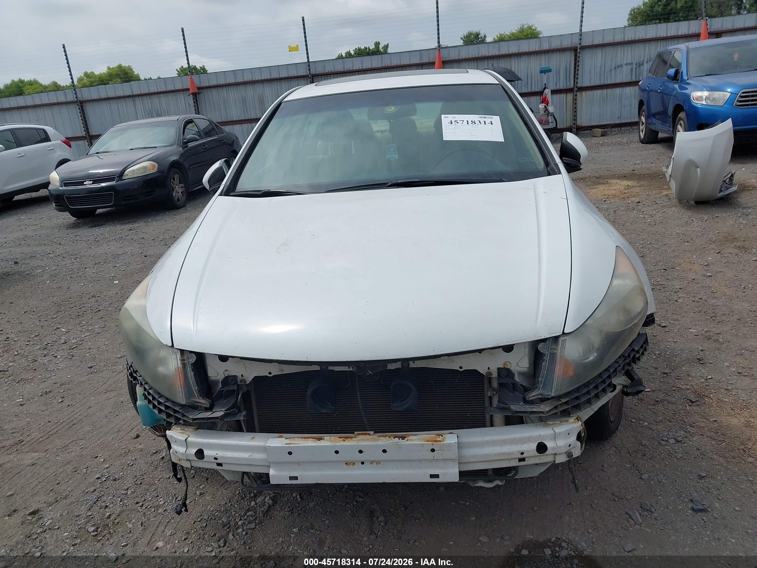 2011 Honda Accord 3.5 Ex-l White vin: 1HGCP3F87BA031607