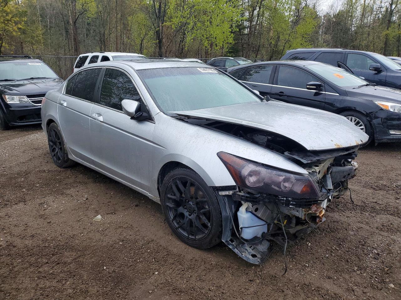 2011 Honda Accord Exl Silver vin: 1HGCP3F87BA800347