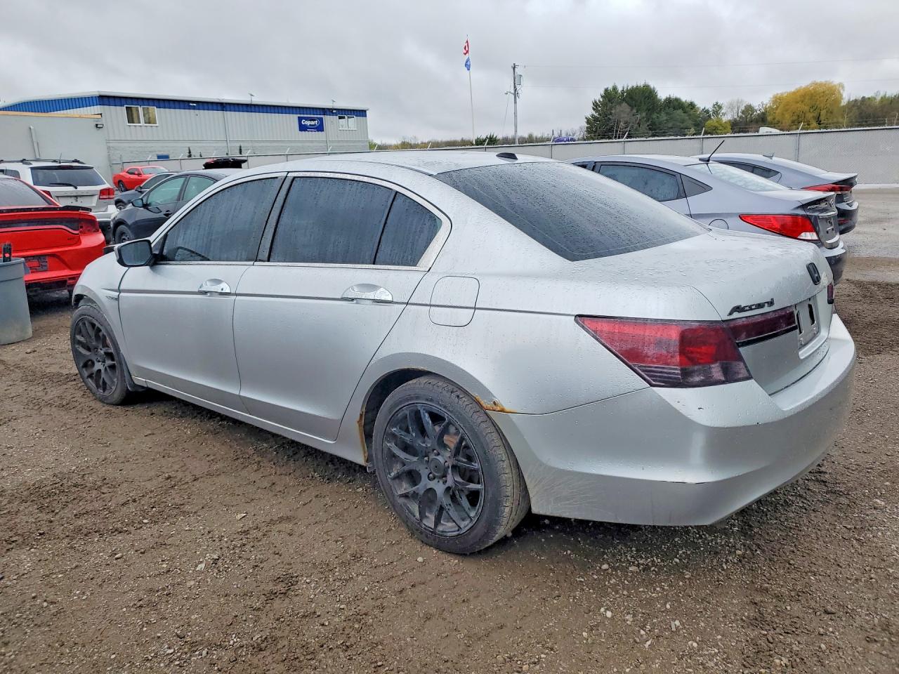 2011 Honda Accord Exl Silver vin: 1HGCP3F87BA800347