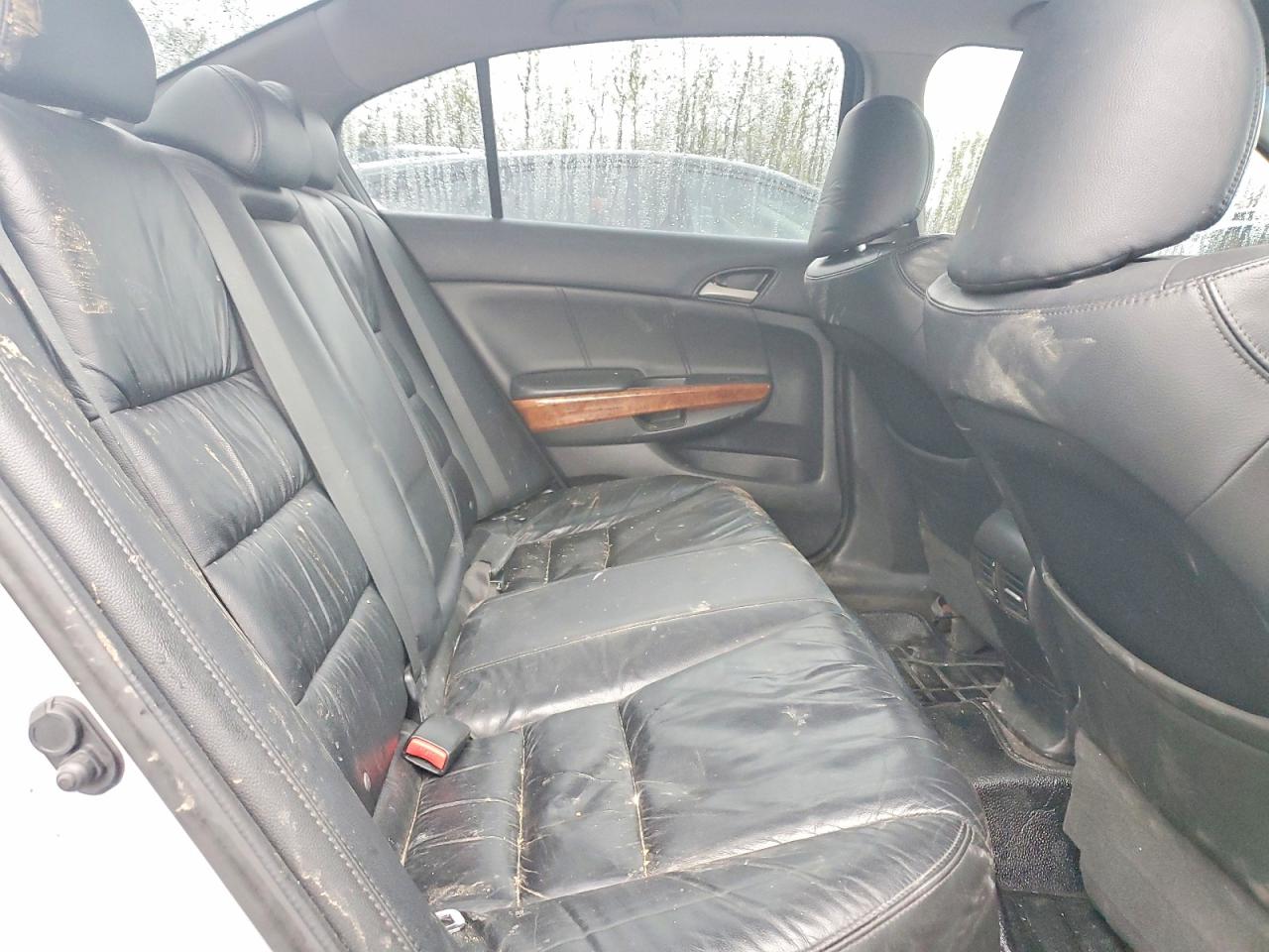 2011 Honda Accord Exl Silver vin: 1HGCP3F87BA800347