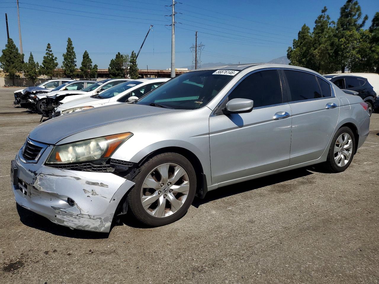 2012 Honda Accord Exl Silver vin: 1HGCP3F87CA032032