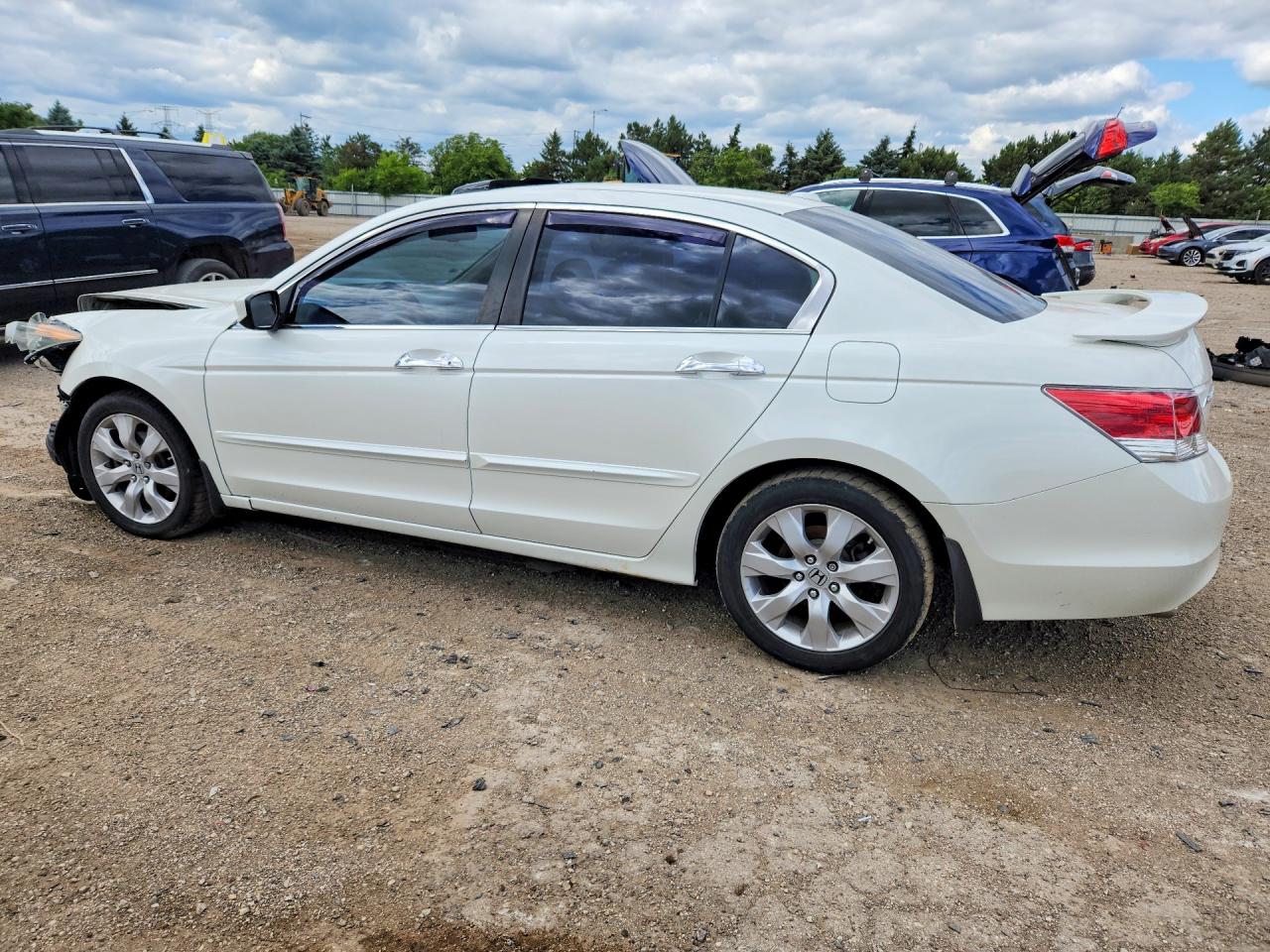 2010 Honda Accord Exl Белый vin: 1HGCP3F88AA005337