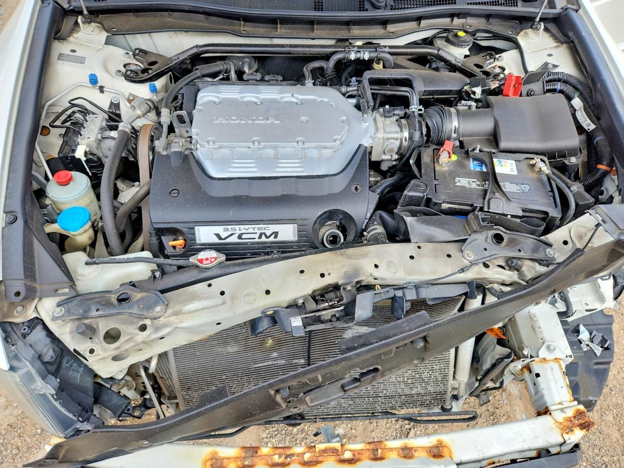 2010 Honda Accord Exl Белый vin: 1HGCP3F88AA005337