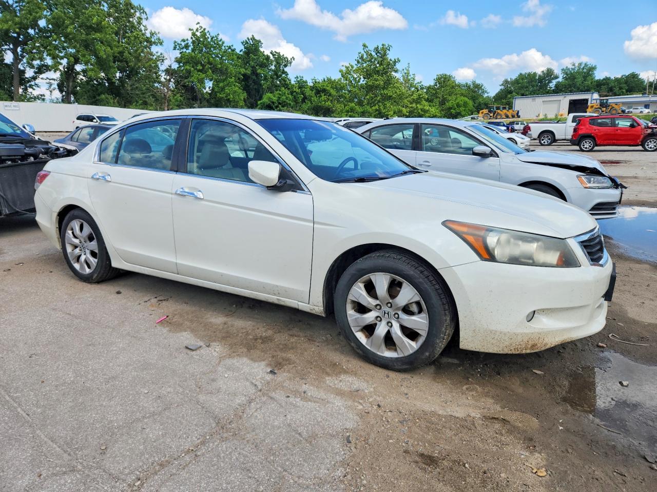 2010 Honda Accord Exl Белый vin: 1HGCP3F88AA023109