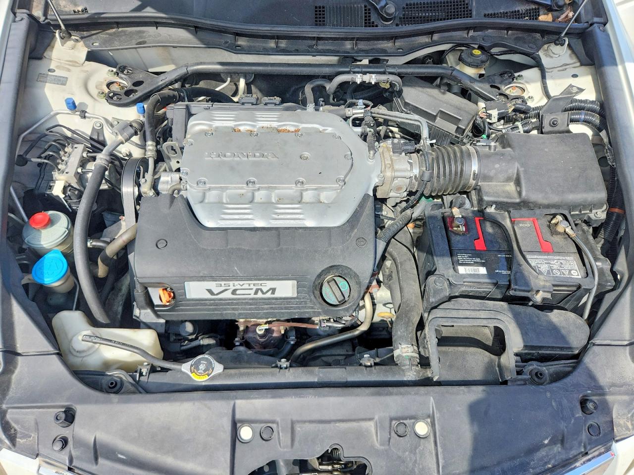 2010 Honda Accord Exl Белый vin: 1HGCP3F88AA023109