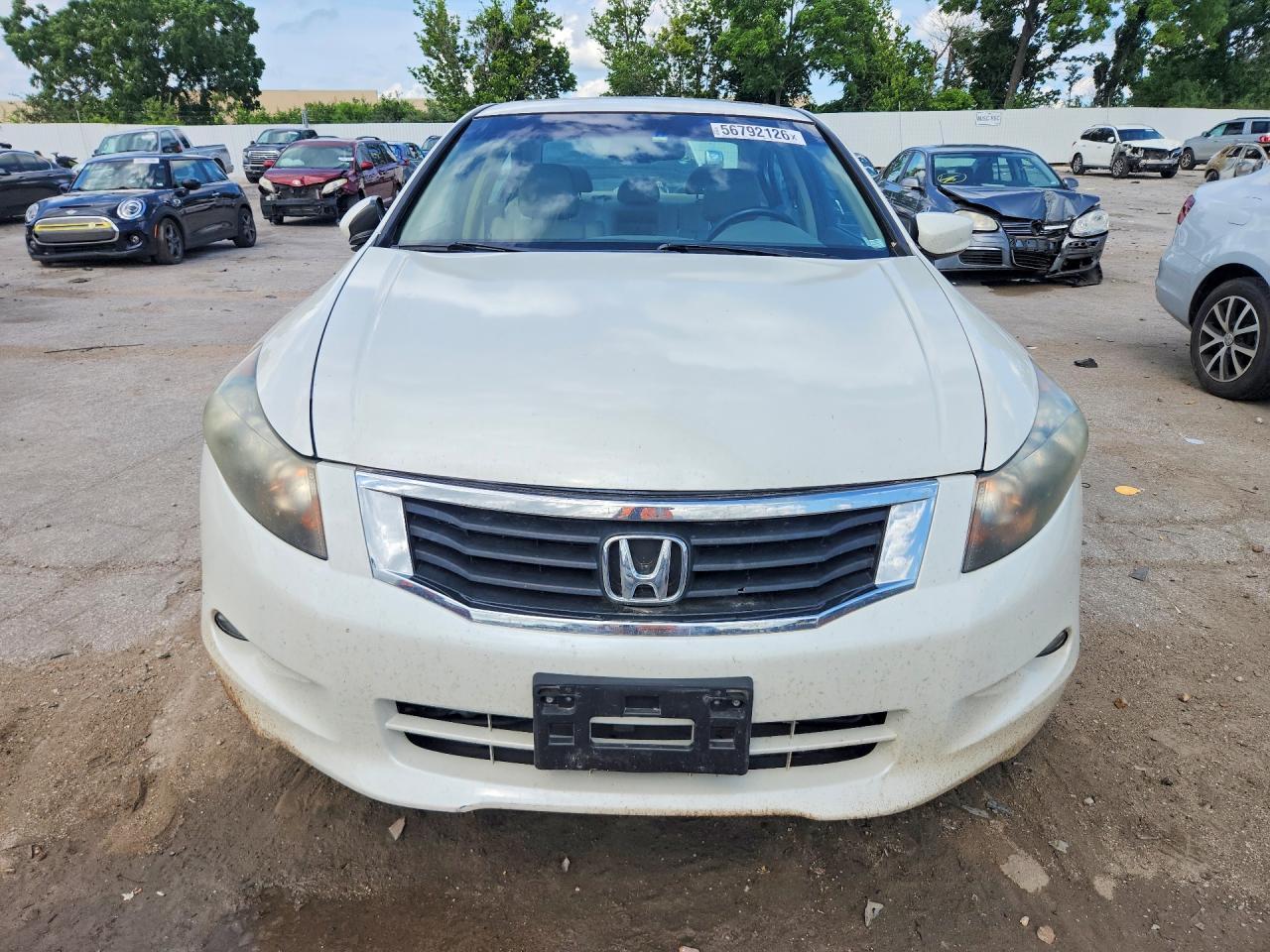 2010 Honda Accord Exl Белый vin: 1HGCP3F88AA023109