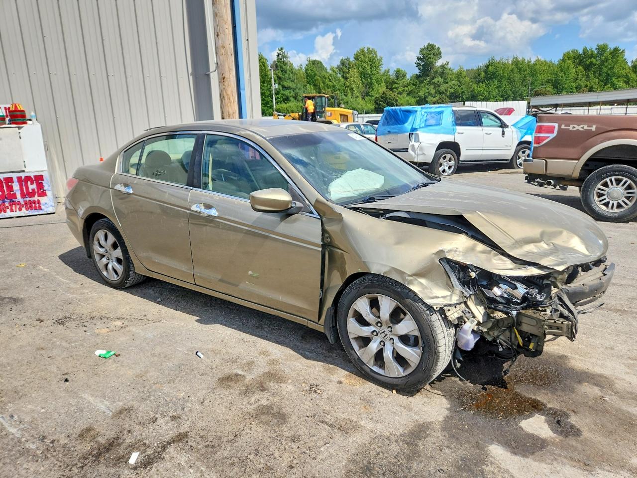 2010 Honda Accord Exl Beige vin: 1HGCP3F88AA023823