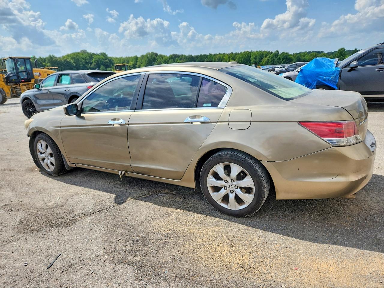 2010 Honda Accord Exl Beige vin: 1HGCP3F88AA023823
