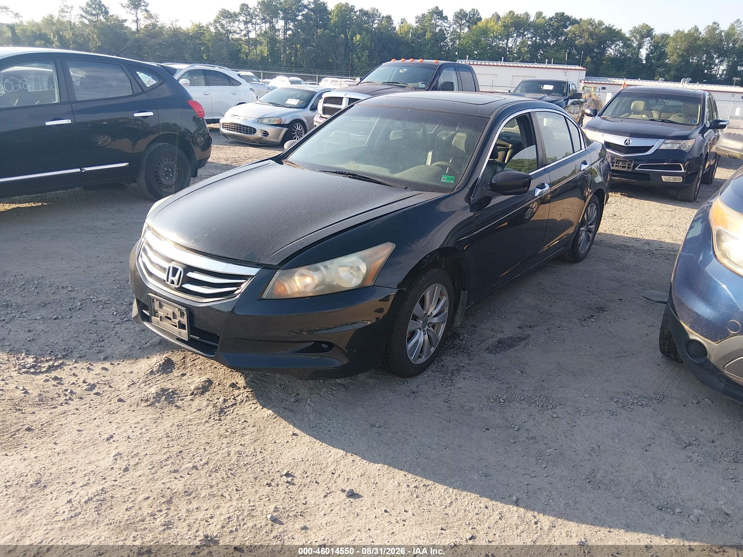 2011 Honda Accord 3.5 Ex-l Black vin: 1HGCP3F88BA001399