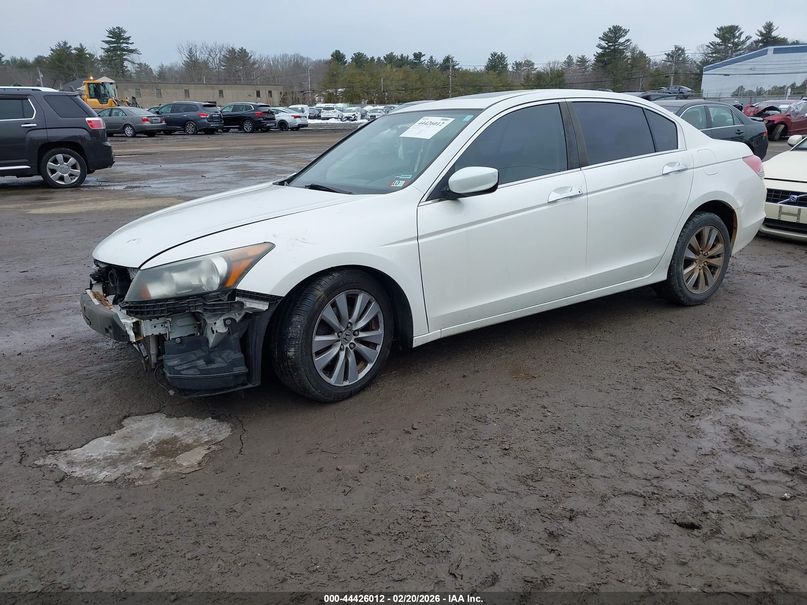 2011 Honda Accord 3.5 Ex-l White vin: 1HGCP3F88BA003525
