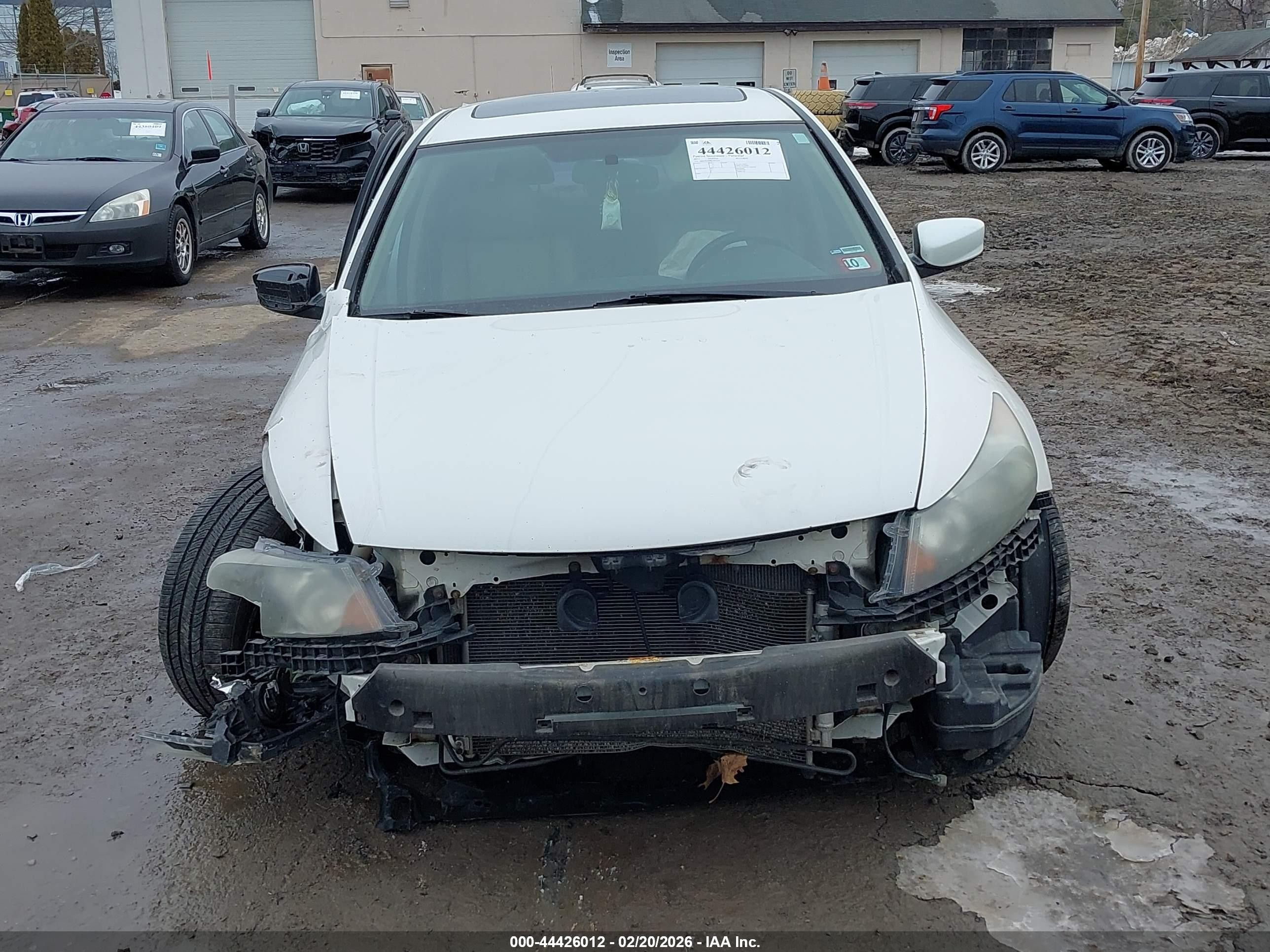 2011 Honda Accord 3.5 Ex-l White vin: 1HGCP3F88BA003525