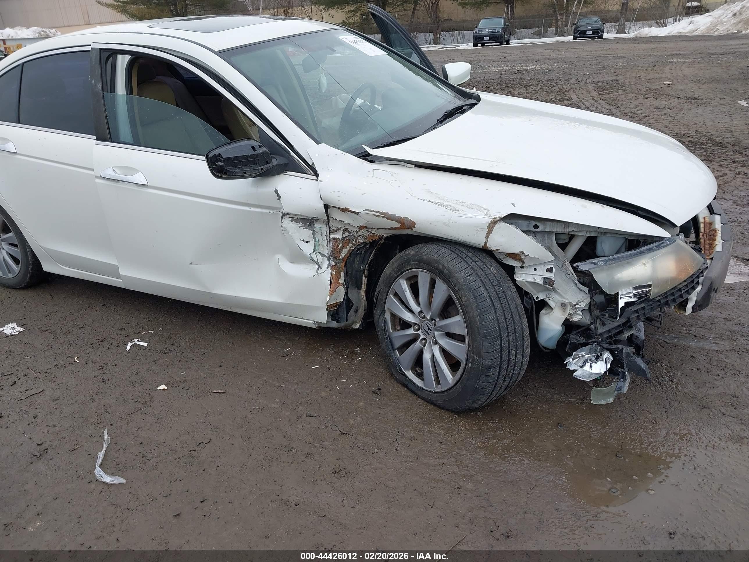 2011 Honda Accord 3.5 Ex-l White vin: 1HGCP3F88BA003525