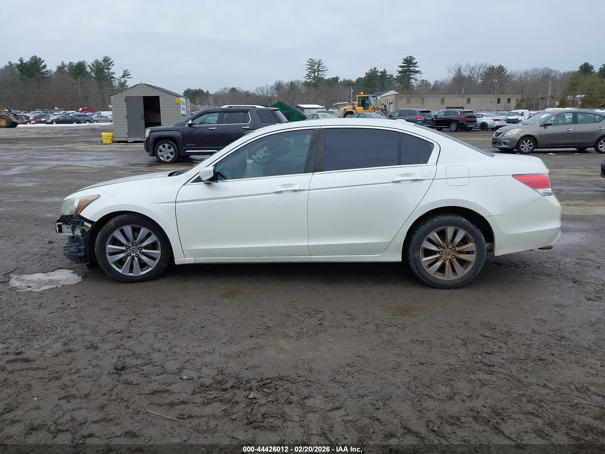 2011 Honda Accord 3.5 Ex-l White vin: 1HGCP3F88BA003525