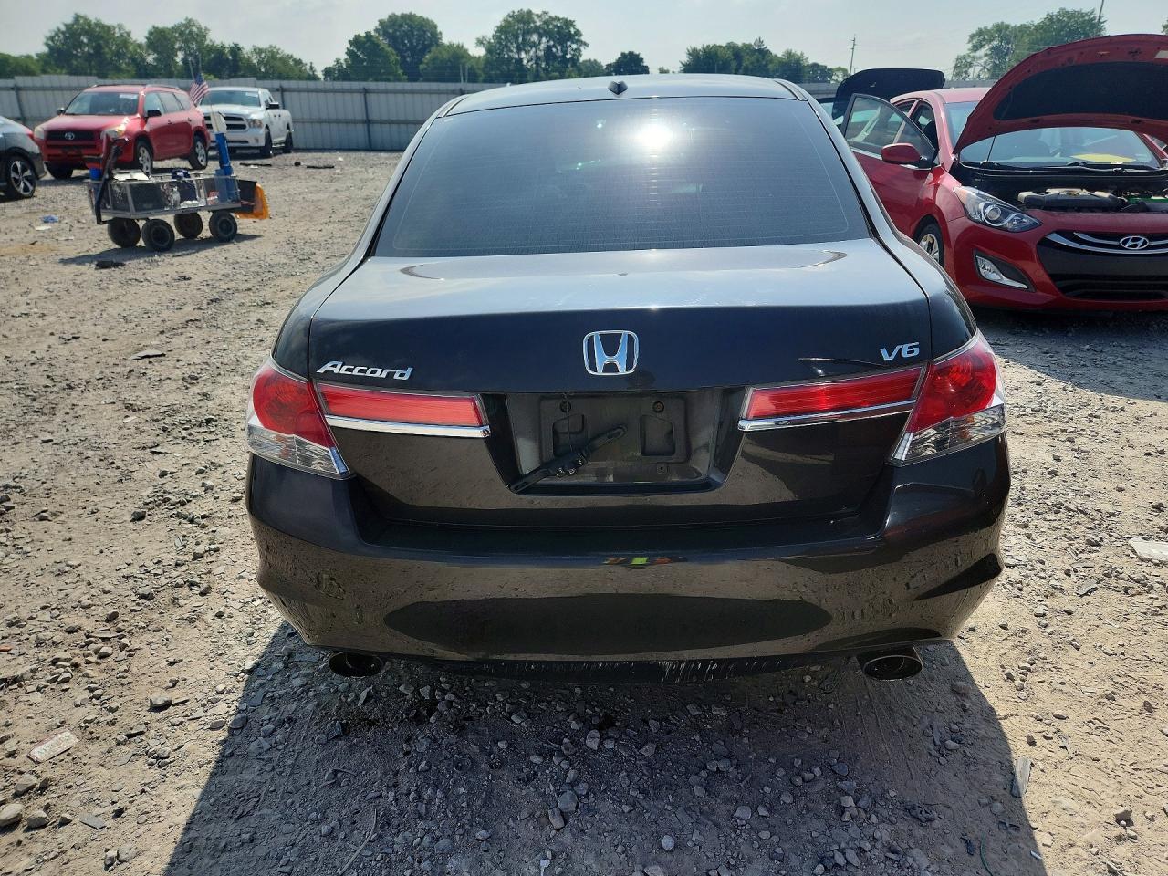 2011 Honda Accord Exl Brown vin: 1HGCP3F88BA014959