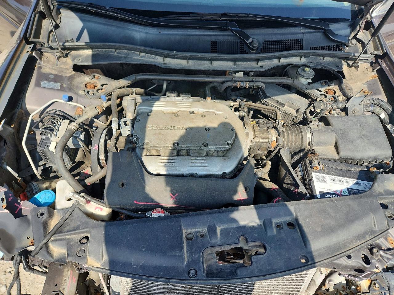 2011 Honda Accord Exl Brown vin: 1HGCP3F88BA014959