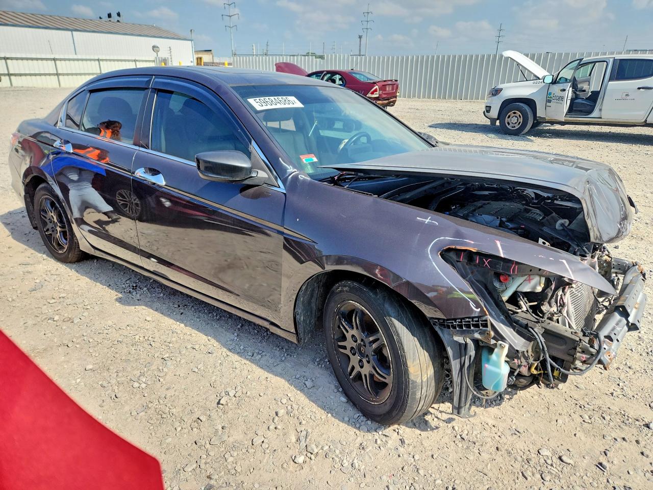 2011 Honda Accord Exl Brown vin: 1HGCP3F88BA014959