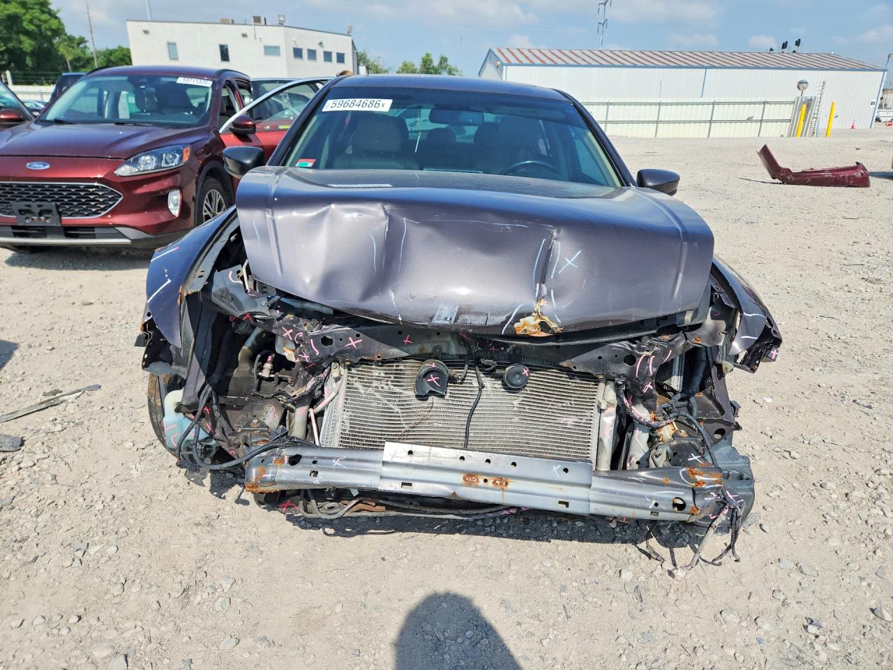 2011 Honda Accord Exl Brown vin: 1HGCP3F88BA014959