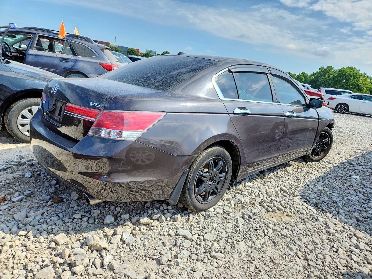 2011 Honda Accord Exl Brown vin: 1HGCP3F88BA014959