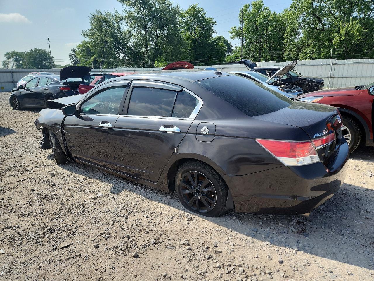 2011 Honda Accord Exl Brown vin: 1HGCP3F88BA014959