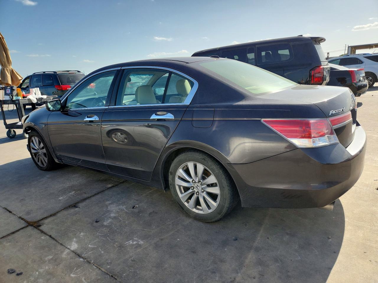 2011 Honda Accord Exl Gray vin: 1HGCP3F88BA016436