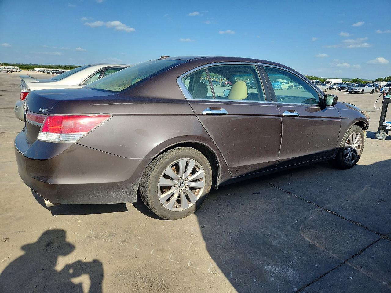2011 Honda Accord Exl Gray vin: 1HGCP3F88BA016436