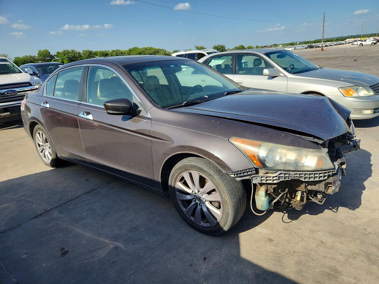 2011 Honda Accord Exl Gray vin: 1HGCP3F88BA016436