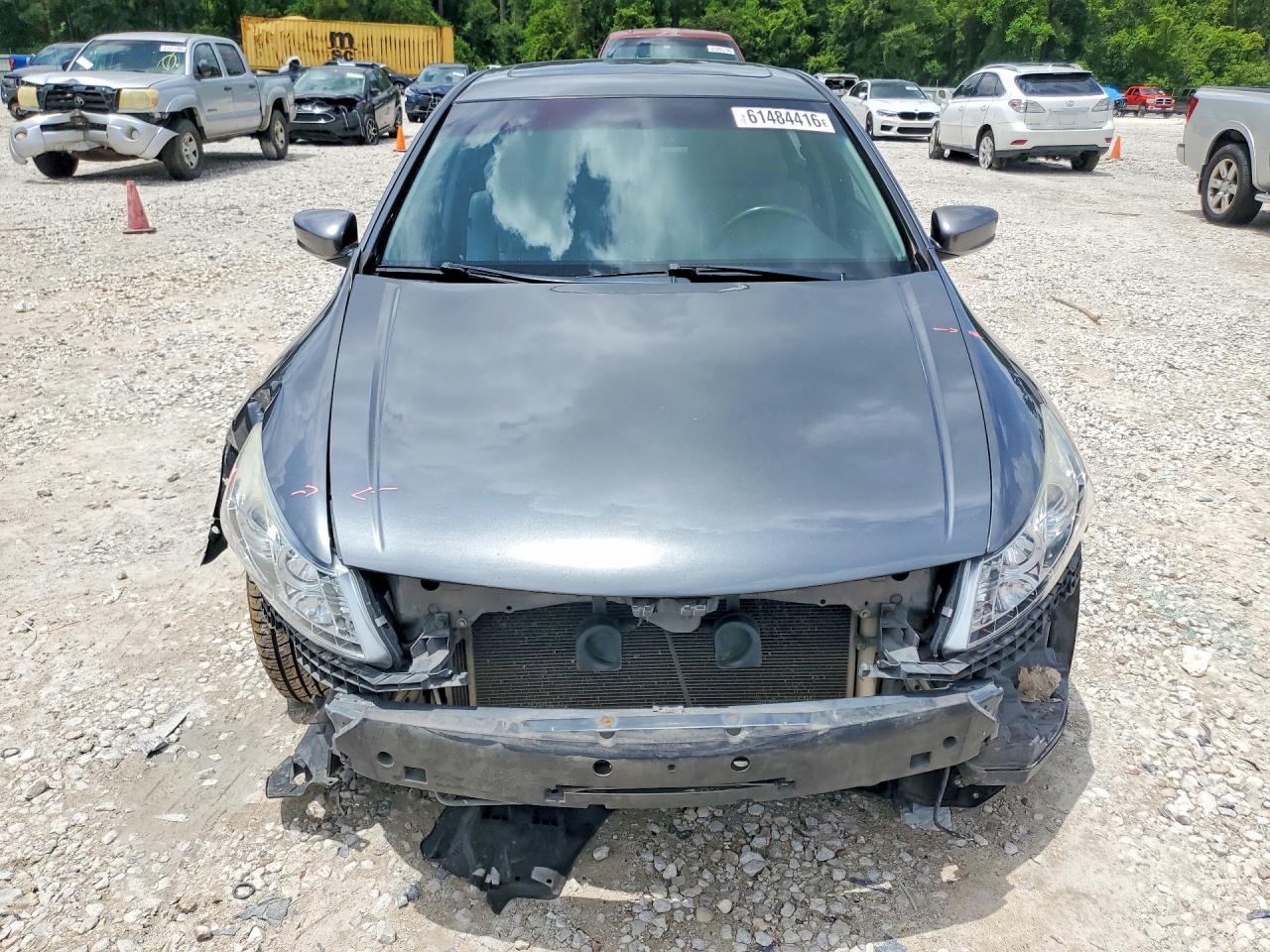 2011 Honda Accord Exl Gray vin: 1HGCP3F88BA025590