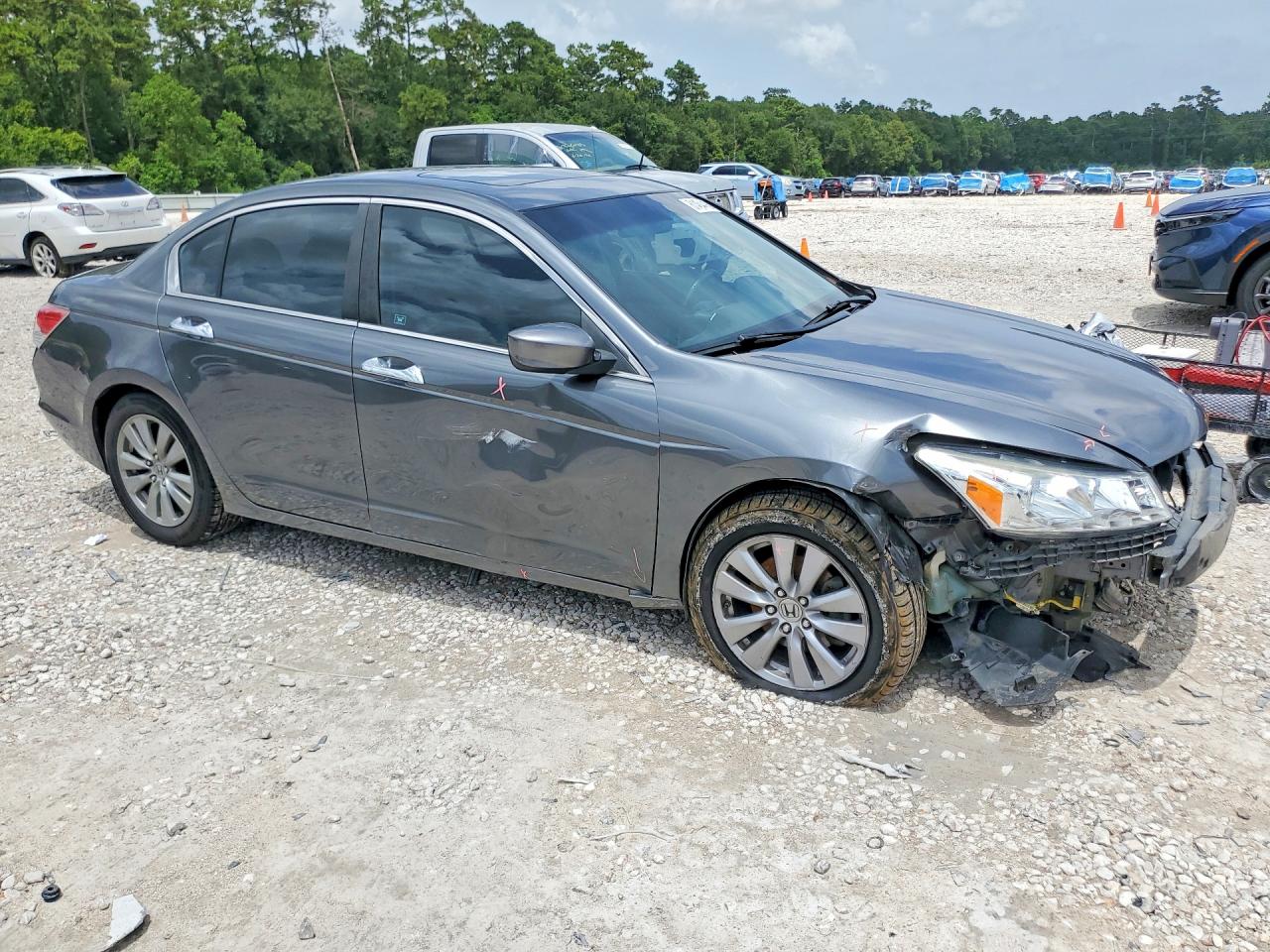 2011 Honda Accord Exl Gray vin: 1HGCP3F88BA025590